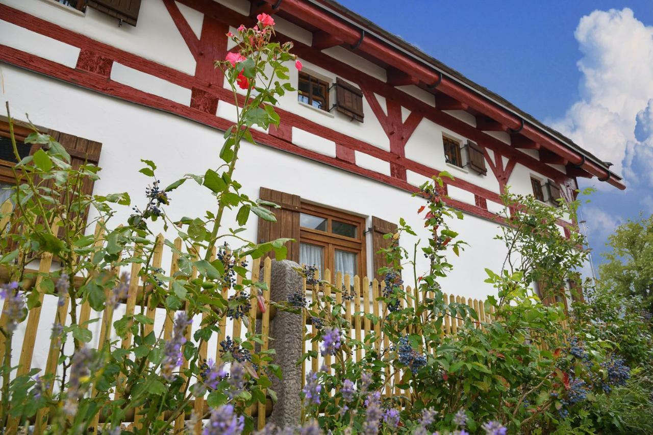 バイルングリースJurahaus Hirschbergアパートメント エクステリア 写真